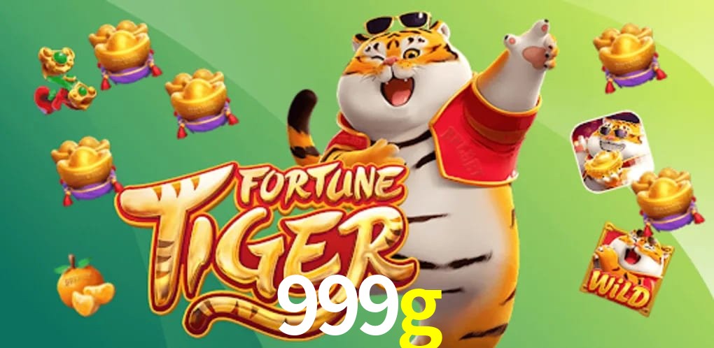 Experiência VIP 999g